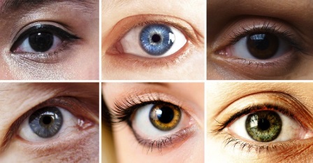 cercetări legate de ochi și vedere